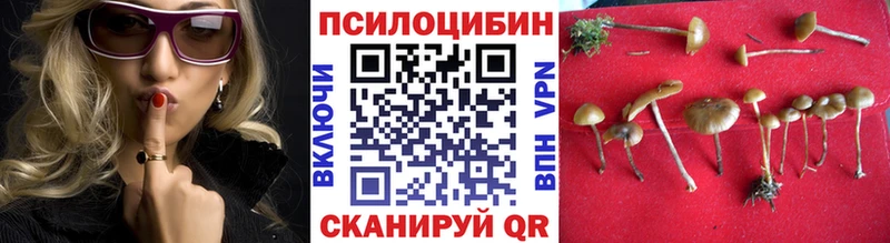 сколько стоит  KRAKEN ONION  Псилоцибиновые грибы прущие грибы  Оса 